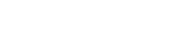 Amber Book